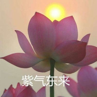 19体育登陆